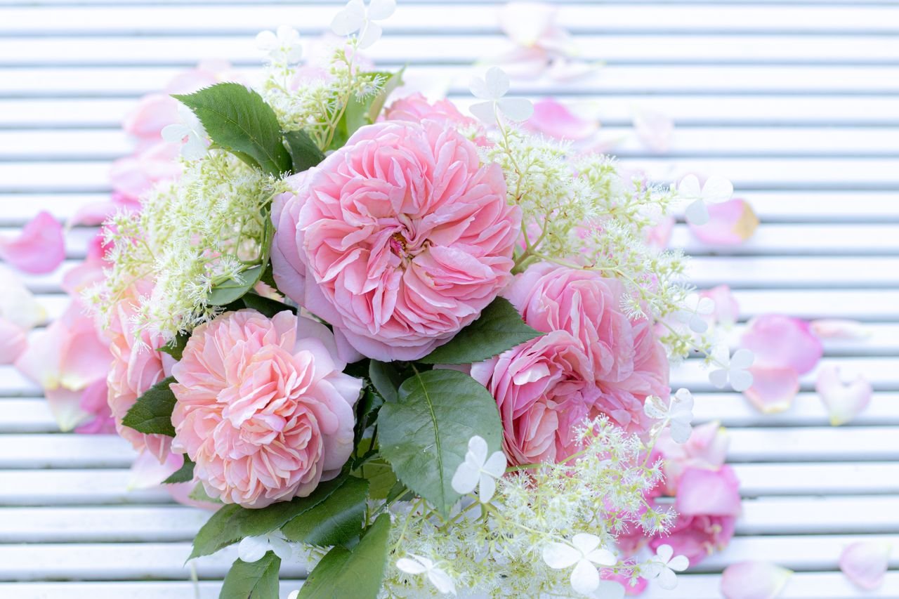 The Art of Drawing Readers In: Your attractive post title goes here A stunning bouquet of pink roses and greenery on a white striped surface.