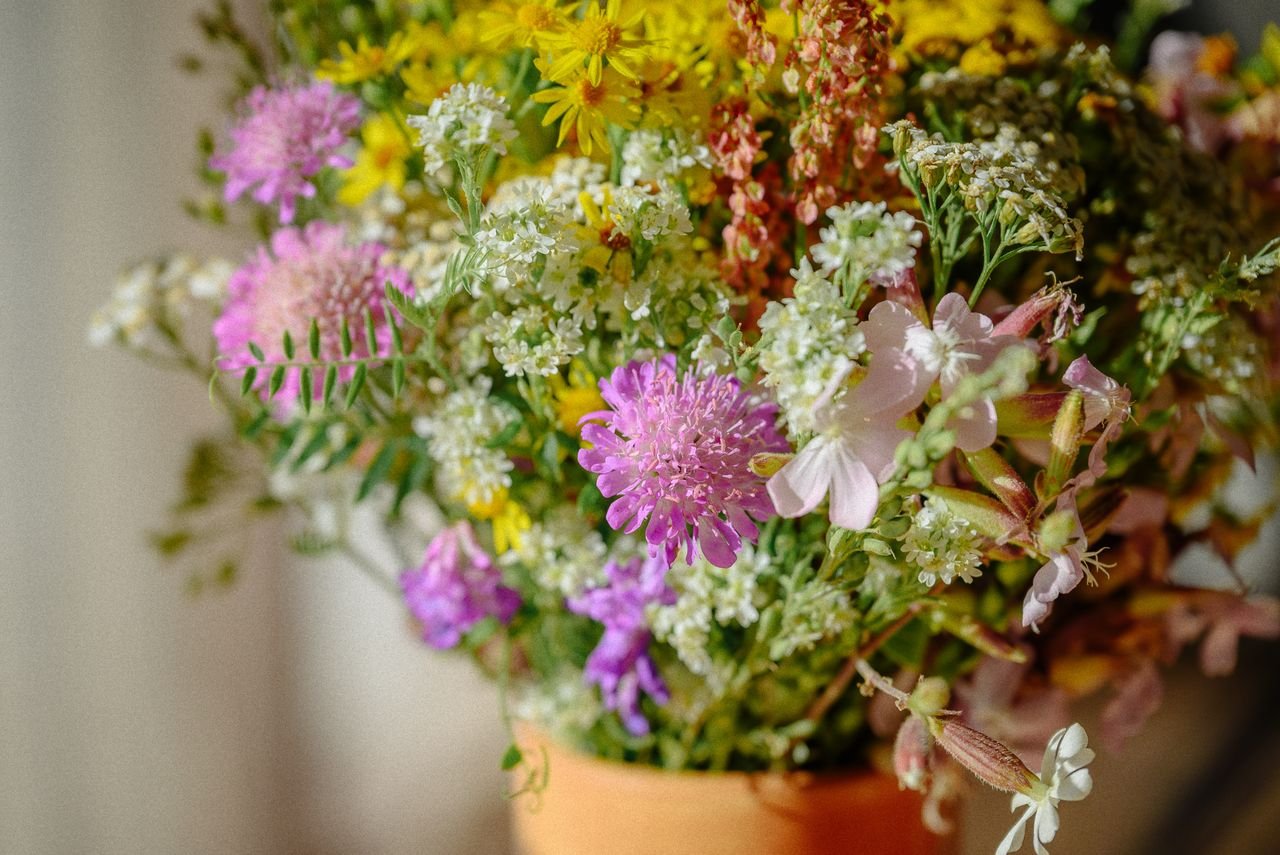 Crafting Captivating Headlines: Your awesome post title goes here A colorful wildflower arrangement in a ceramic vase, bathed in natural light. Perfect for cozy interiors.